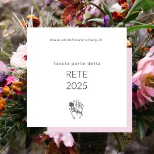 Salviamo il nostro pianeta: le Fiorerie Dario abbracciano la filosofia Slow flowers