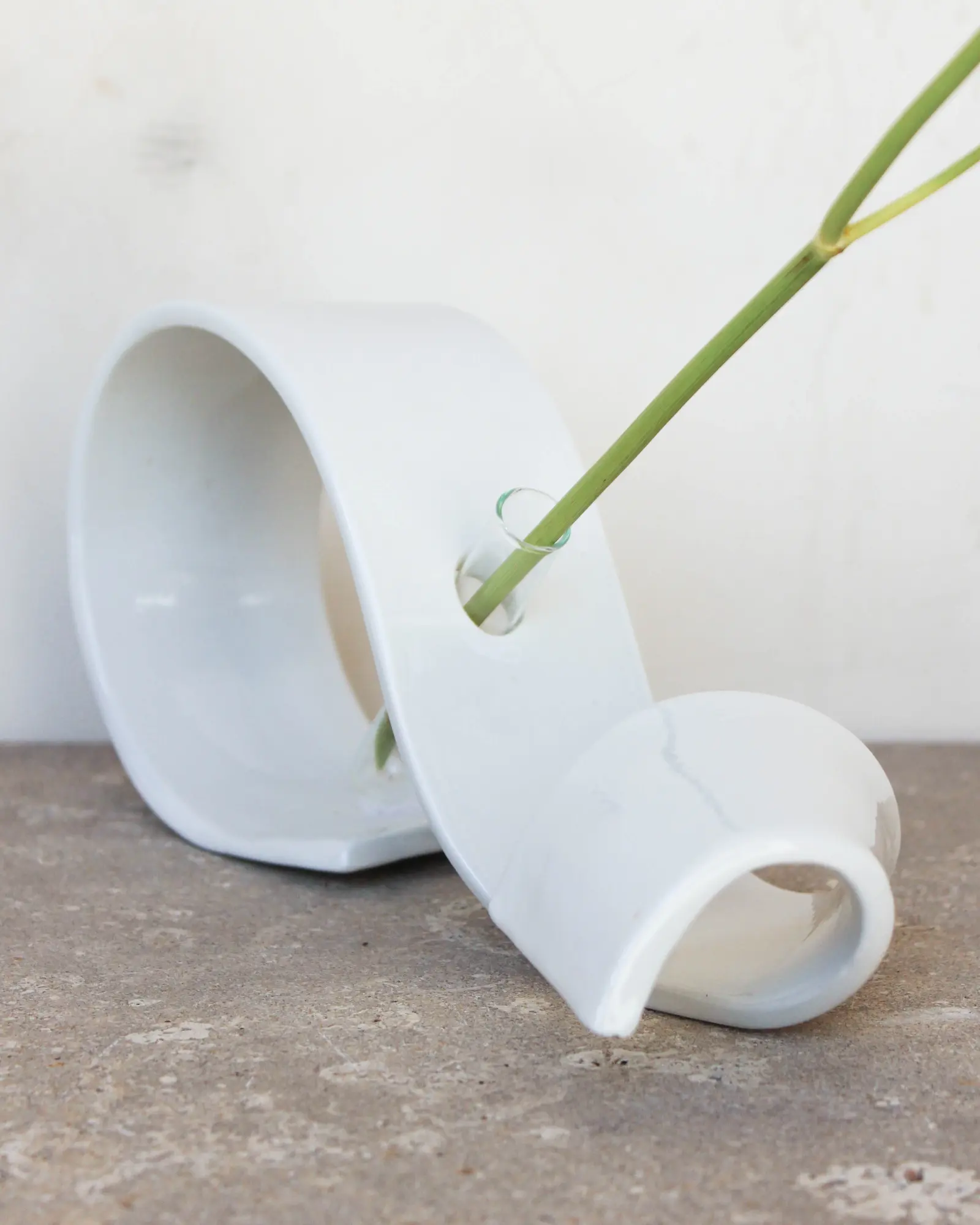 Forme per un fiore
