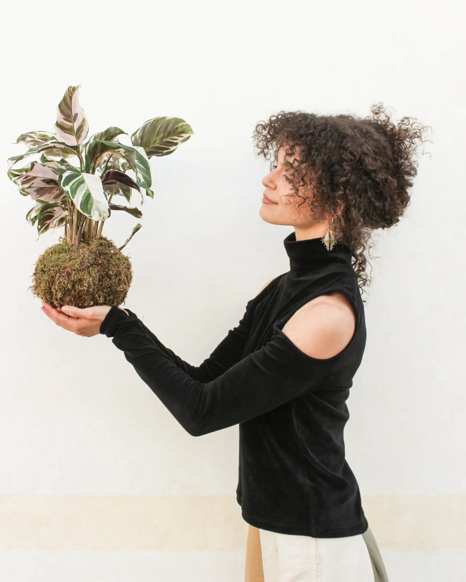 Kokedama