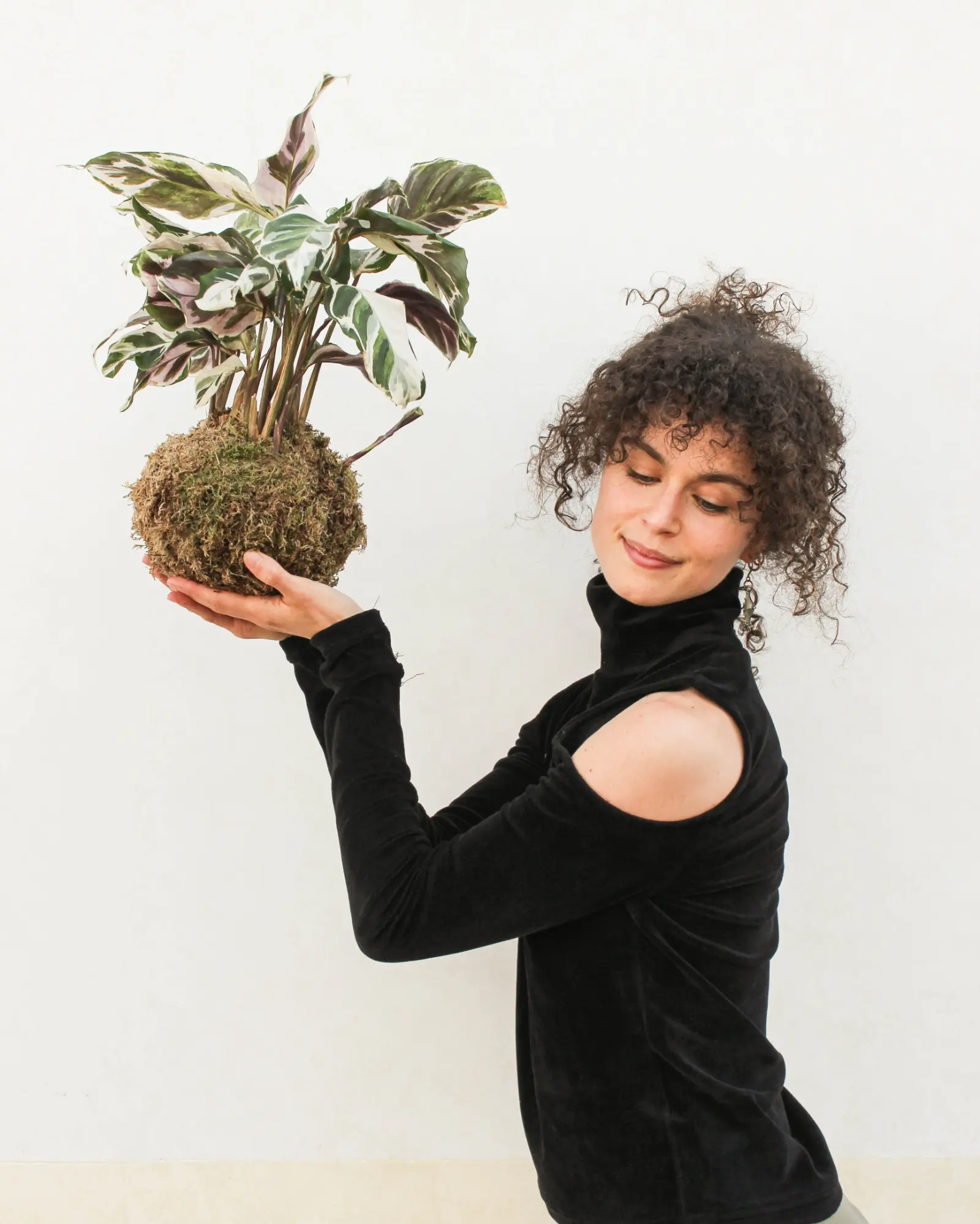 Kokedama