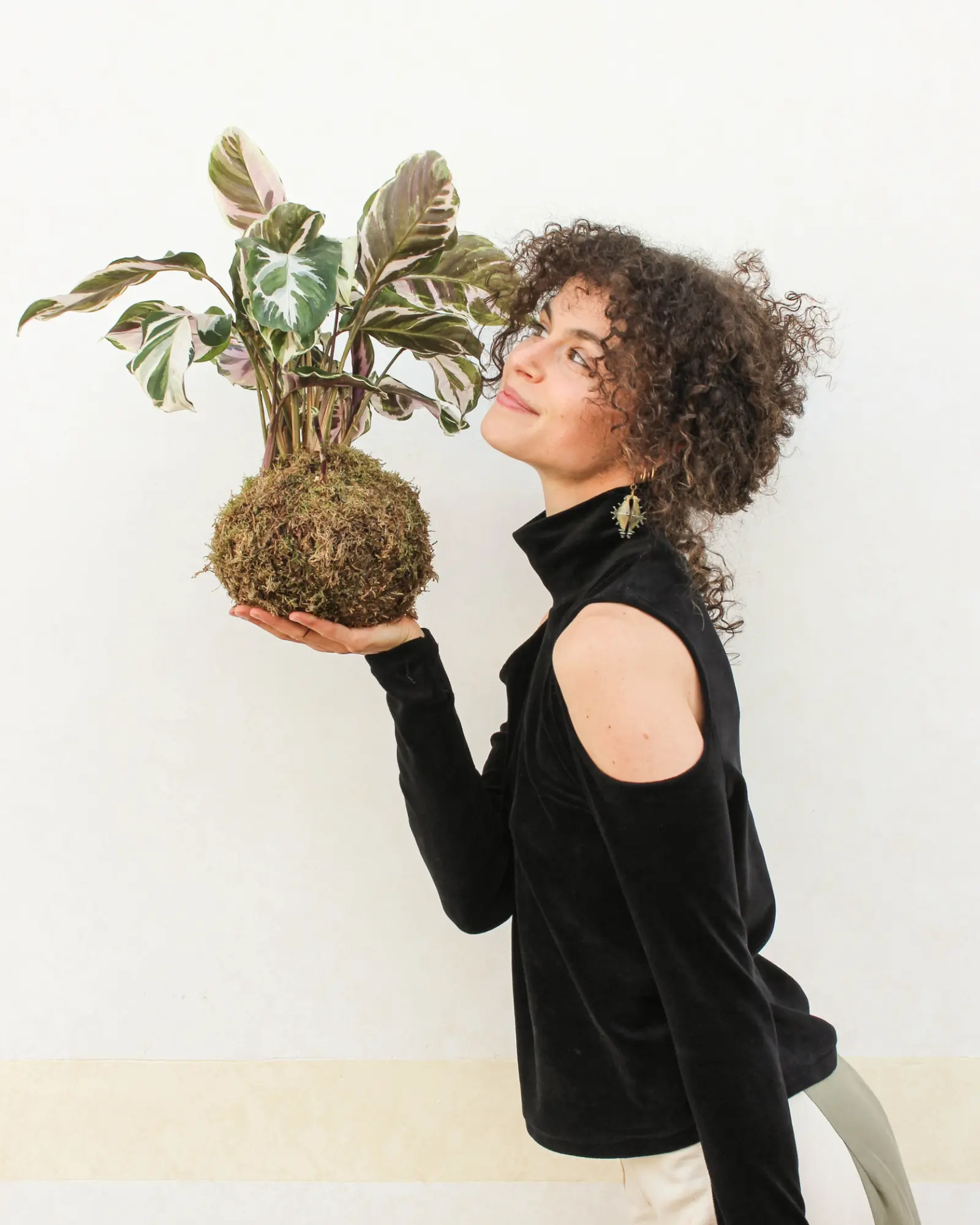 Kokedama